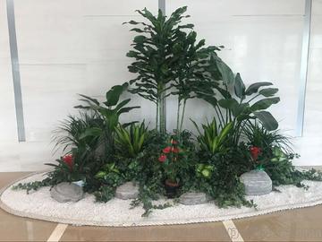 室內(nèi)綠植租賃與養(yǎng)護(hù) 打造詩(shī)意生活的綠色呼吸